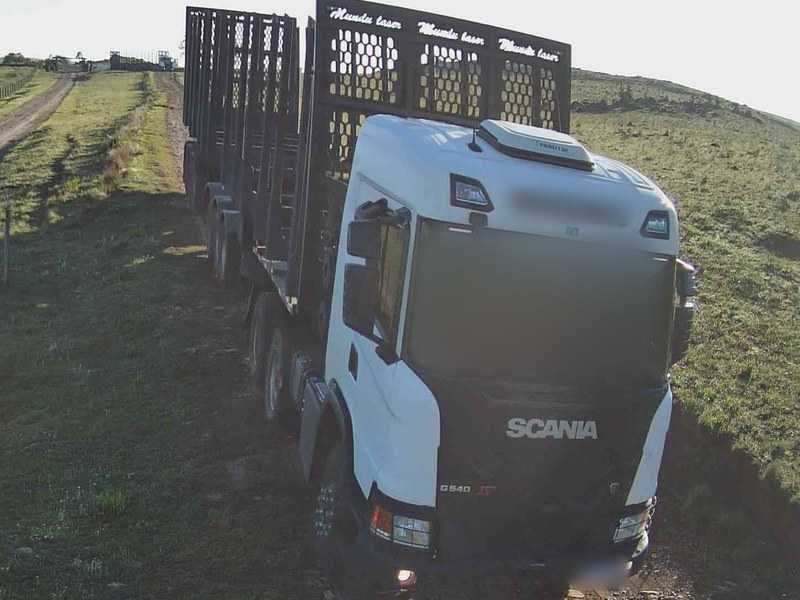 Caminhão de transporte de toras parado na estrada de uma propriedade rural