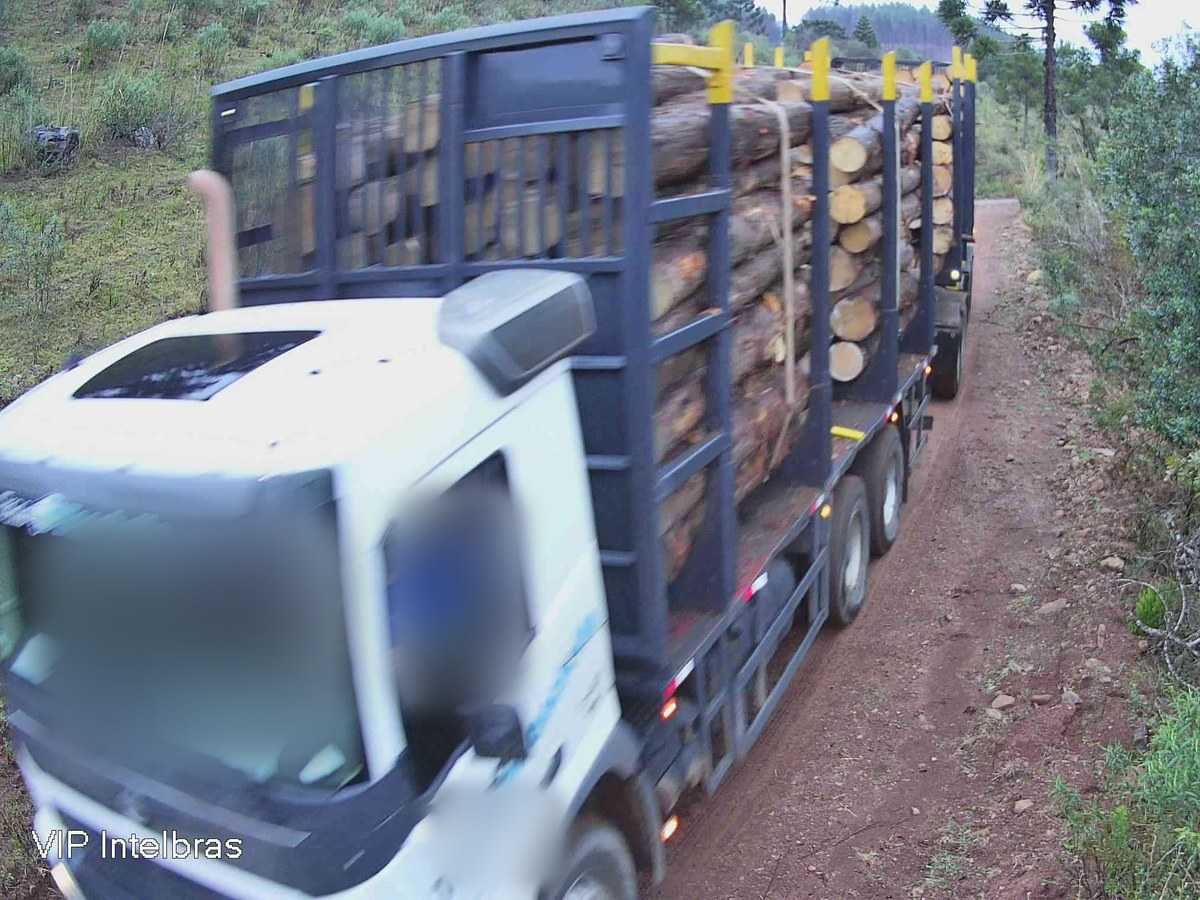 Foto crua da câmera: caminhão com toras passando pela estrada de terra, com data e hora da captura